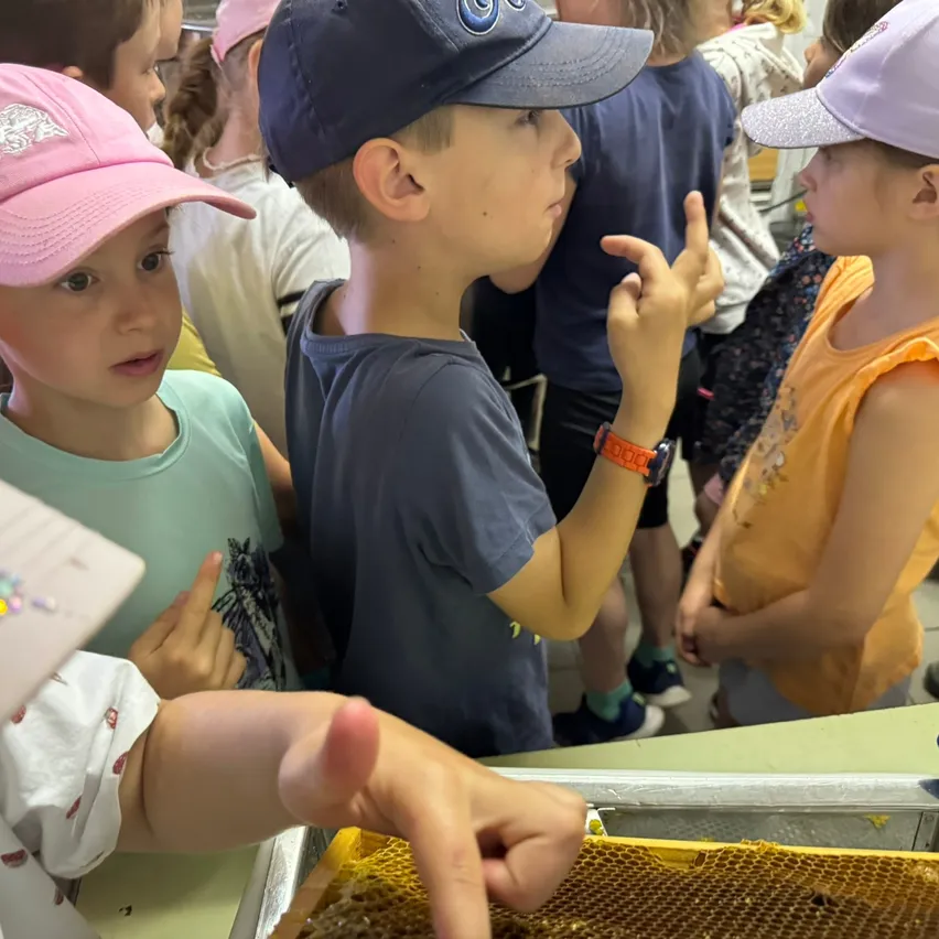Eine Gruppe von Kindern steht um einen Bienenstock und zeigt auf ihn. Ein Junge mit blauer Mütze spricht, während ein anderes Kind mit rosa Mütze aufmerksam zuhört.