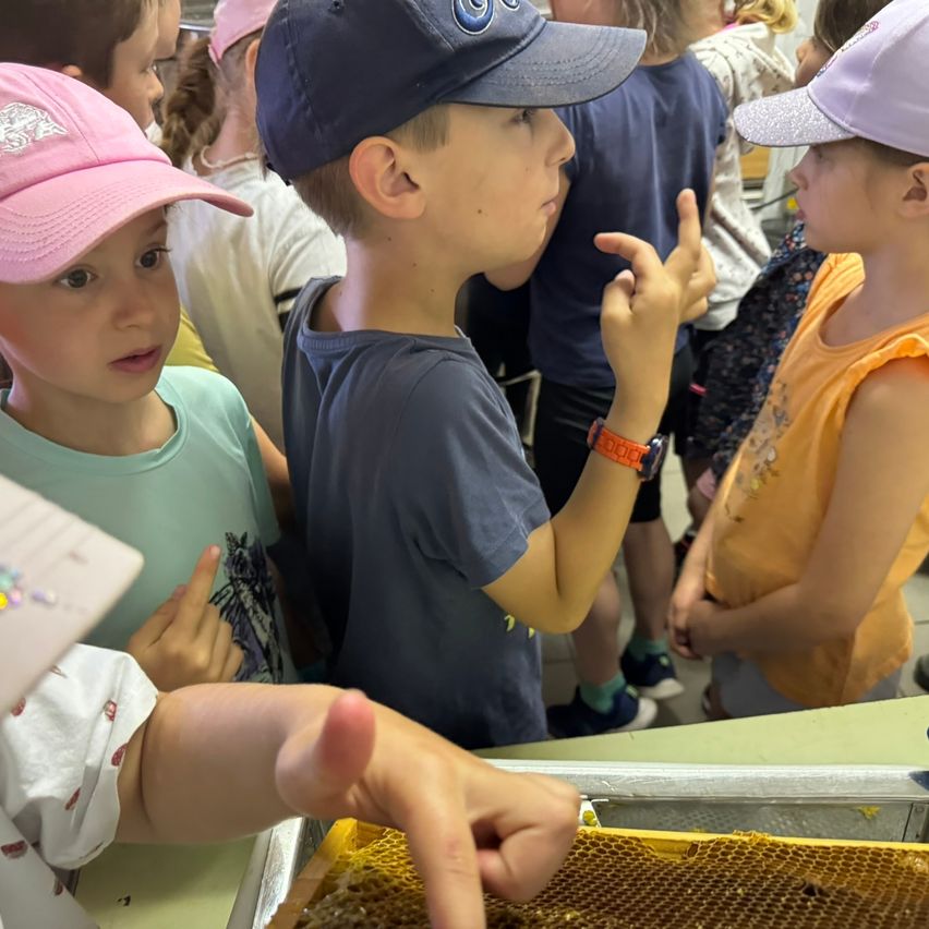 Eine Gruppe von Kindern steht um einen Bienenstock und zeigt auf ihn. Ein Junge mit blauer Mütze spricht, während ein anderes Kind mit rosa Mütze aufmerksam zuhört.