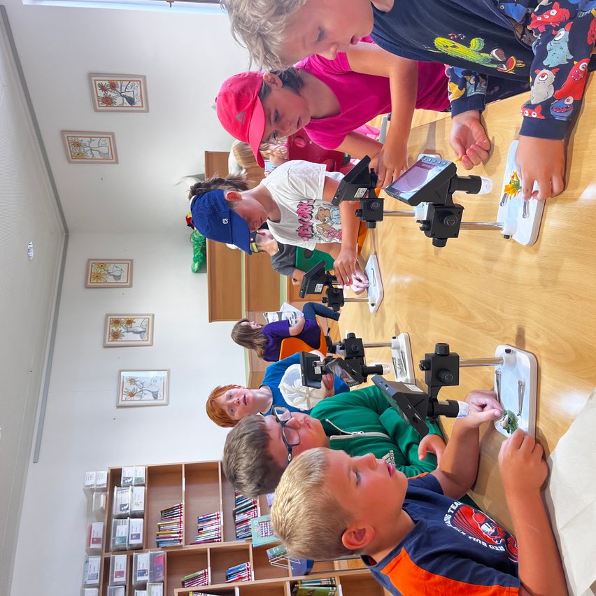 A group of children are gathered around a table, each using a microscope to examine something on a slide. They are in a classroom with bookshelves and framed pictures on the wall.