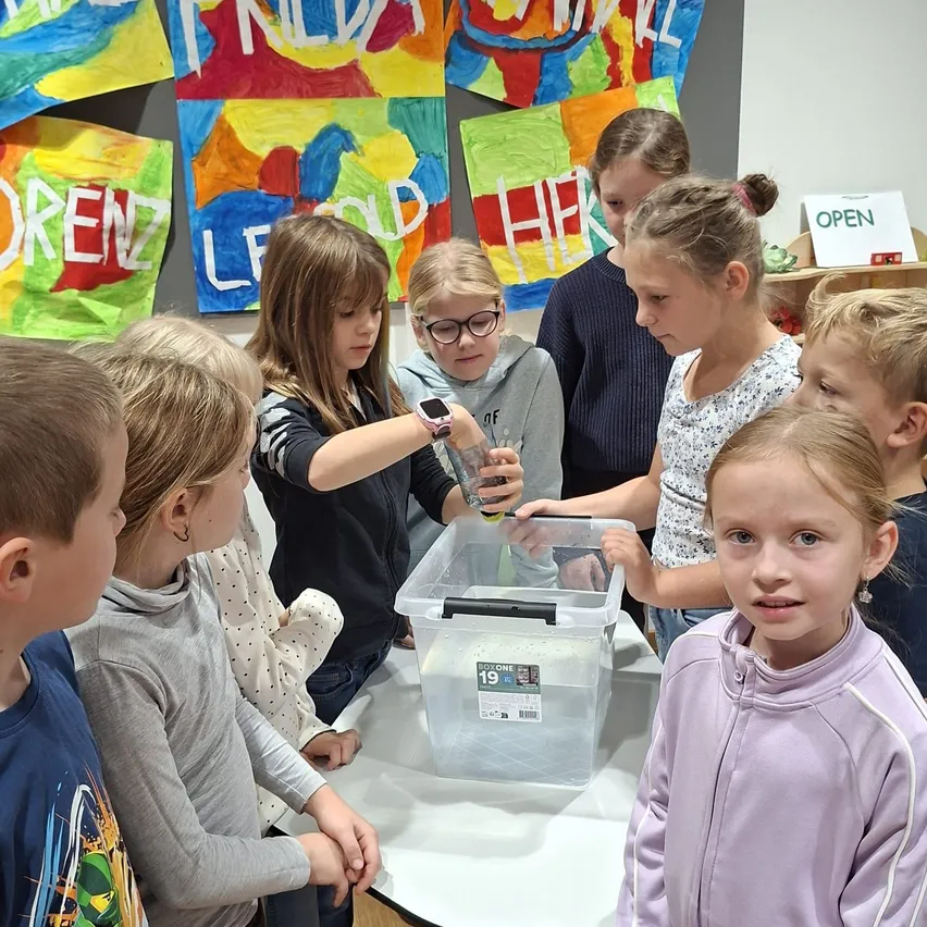 Eine Gruppe von Kindern ist um einen Tisch mit einem Plastikbehälter versammelt. Sie schauen sich etwas im Inneren des Behälters an.