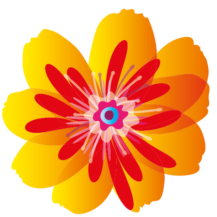 Bild enthält, Anther, Flower, Plant, Daisy, Petal, Anemone, Dahlia