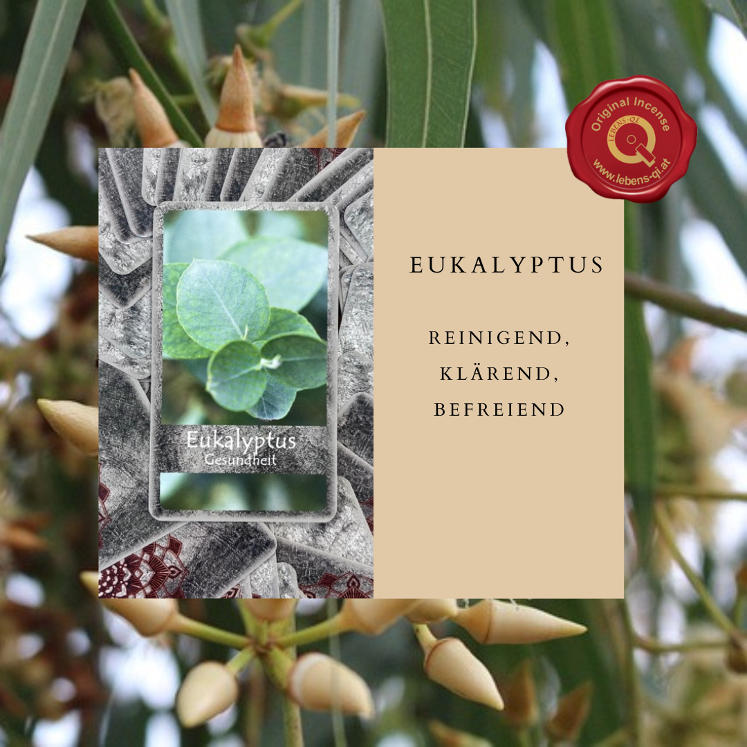 Bild enthält, Herbal, Herbs, Plant, Leaf, Vegetation, Tree