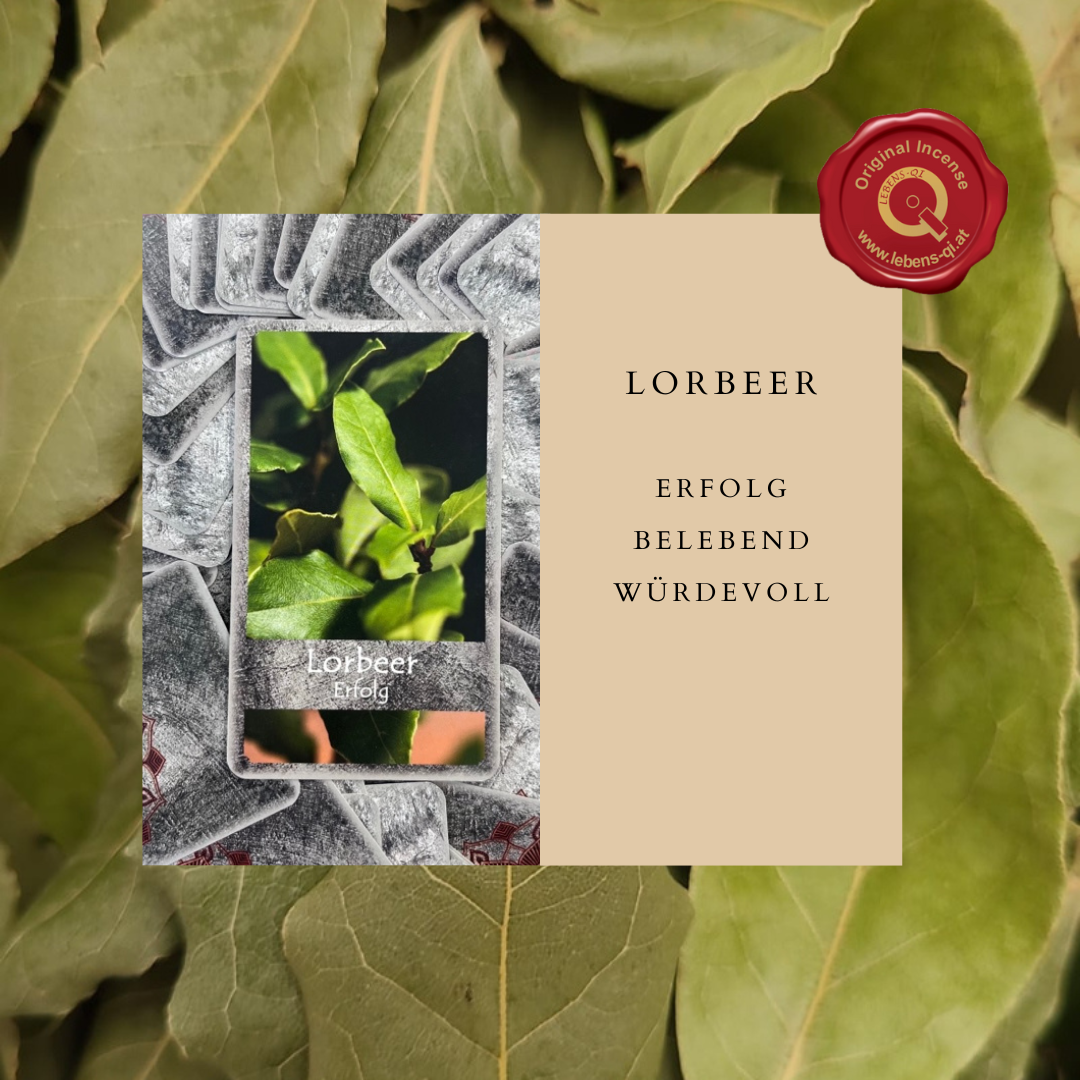 Bild enthält, Leaf, Plant, Business Card, Paper, Text