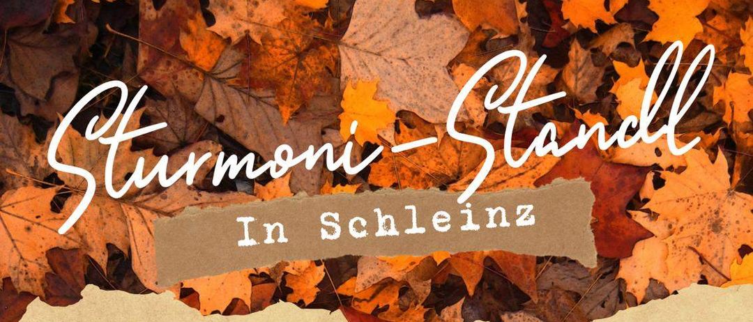 Plakat für eine Herbstveranstaltung in Schleinz, Deutschland, mit Bildern von einer Torte, Kürbissen und einer Kastanie, sowie Angaben zum Datum, zur Uhrzeit und zum Veranstaltungsort.