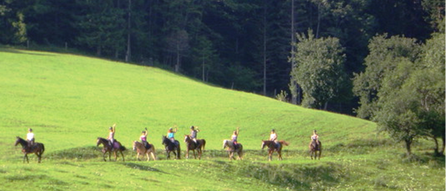 Bild enthält, Countryside, Field, Nature, Outdoors, Pasture, Grassland, People, Person, Grass, Vegetation