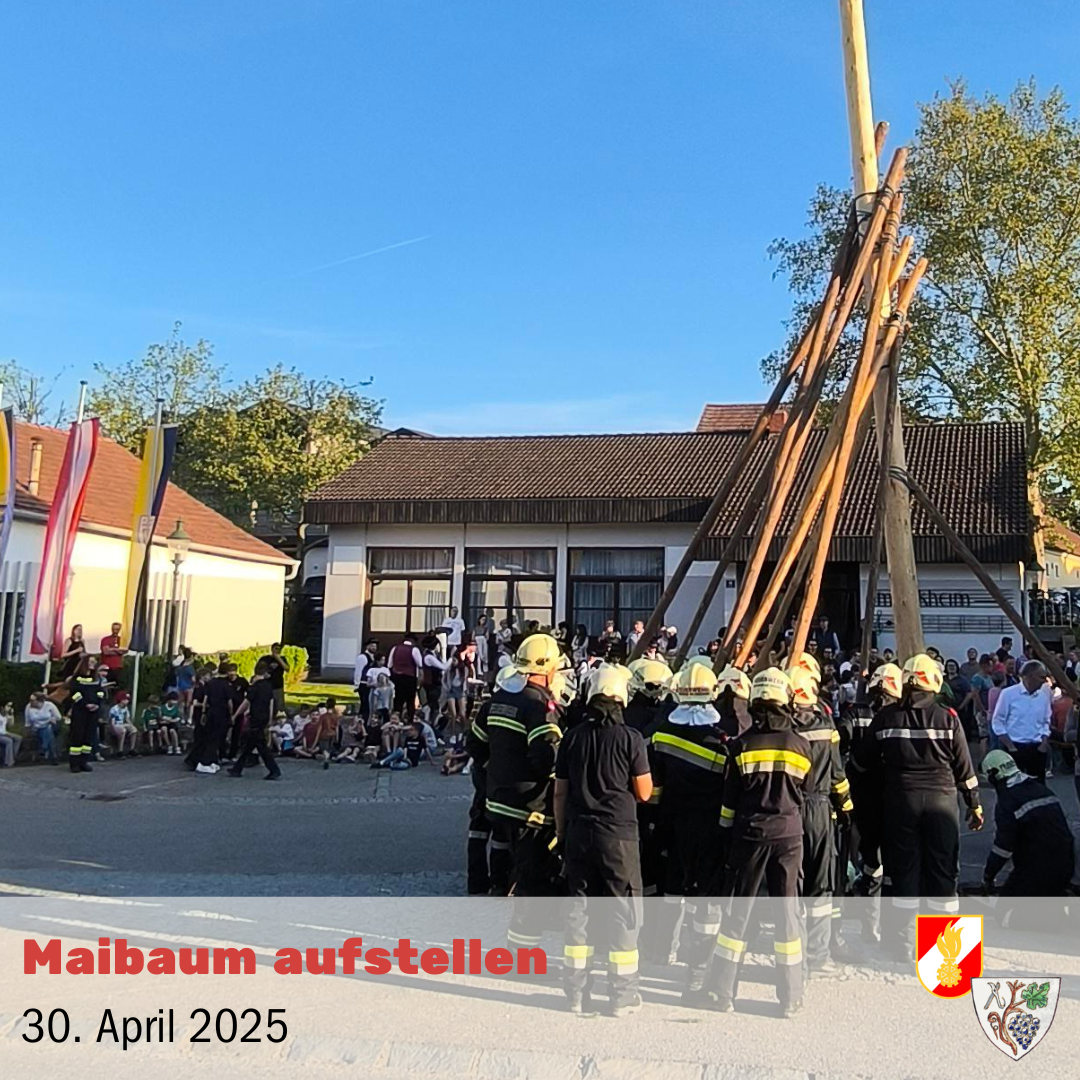 Feuerwehrleute versammeln sich am 30. April 2025 auf einem Dorfplatz, umgeben von einer Menge, um einen Maibaum aufzustellen.