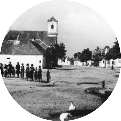 v1_migrated_image_91989116