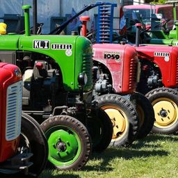Eine Reihe von Oldtimer-Traktoren, darunter grüne, rote und gelbe Modelle, auf Gras geparkt.