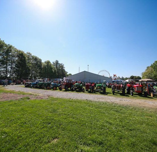 Ein sonniger Tag mit einer großen Gruppe von Menschen und Oldtimer-Traktoren, die auf einem Rasenfeld geparkt sind, einem weißen Van und einem Riesenrad in der Ferne.