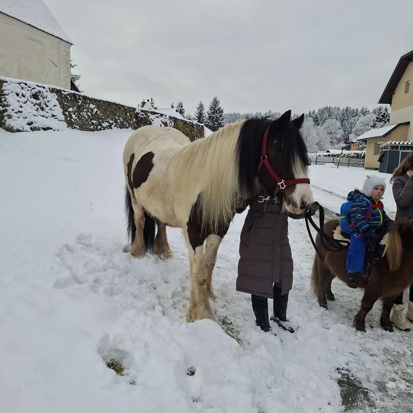 Eine Frau hält die Leine eines Pferdes, das im Schnee steht, während ein Kind auf einem Pony reitet. Dahinter befindet sich eine Steinmauer und ein Haus mit schneebedecktem Dach.