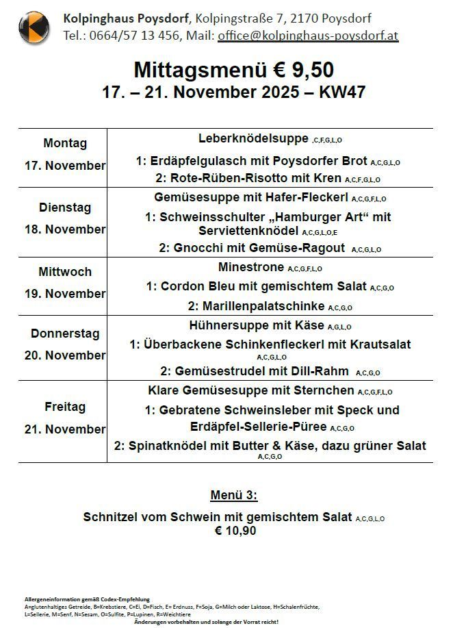 Wöchentliches Mittagsmenü für 9,50 Euro vom 17. bis 21. November 2025, KW 47. Angebote umfassen verschiedene Suppen, Fleisch und Gemüse. Menü 3: Schweineschnitzel mit gemischtem Salat für 10,90 Euro.