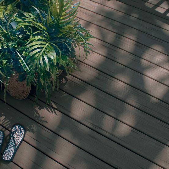 Bild enthält, Housing, Porch, Deck, Wood, Plant, Potted Plant, Interior Design, Floor, Flooring, Shoe