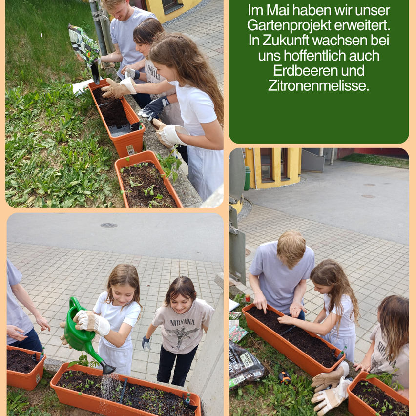 Group of children planting in garden beds, one watering plants. Green text reads: 'In May, we expanded our garden project. Hopefully, we will also grow earthberries and lemon balm in the future.'