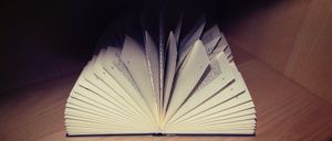 Ein offenes Buch liegt auf einer Holzoberfläche. Die Seiten sind leicht gekrümmt und das Licht scheint auf die Seiten.