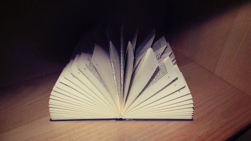 Ein offenes Buch mit vielen Seiten liegt auf einem Holzregal. Licht von oben wirft Schatten auf die Seiten und hebt deren Kanten hervor.