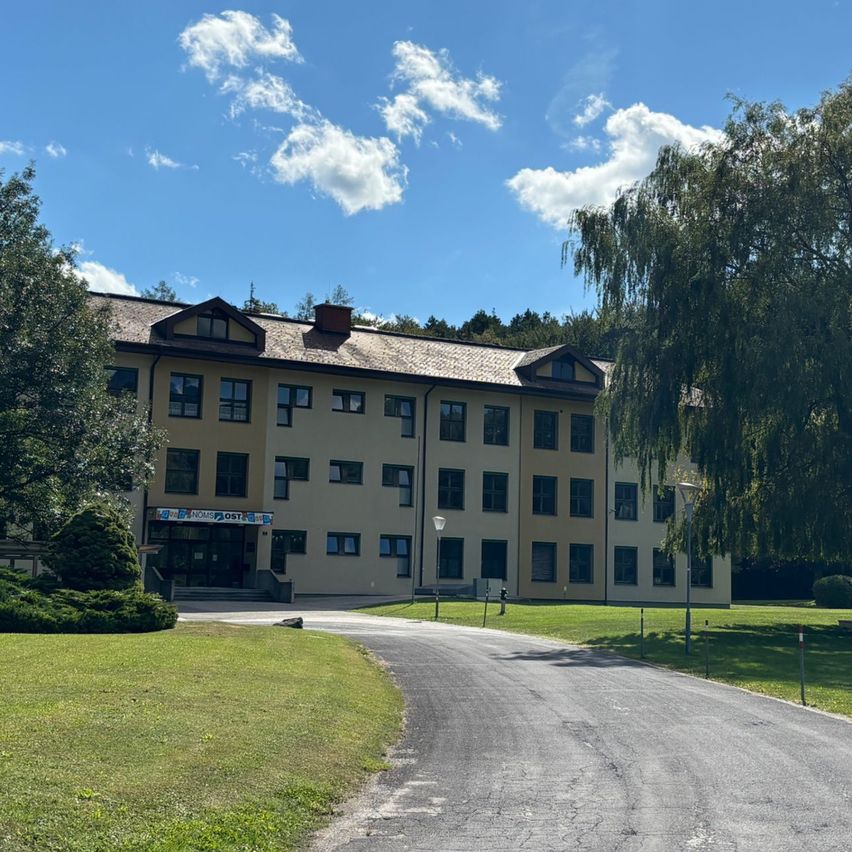 Bild enthält, Road, Grass, Plant, Tarmac, Building, Campus, Lawn, Tree, City, Outdoors