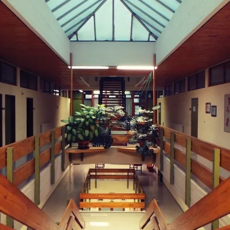 Ein Blick auf einen Innenbereich mit Holzgeländern, Pflanzen und einem Glasdach. Es beinhaltet eine Treppe und eine Bank.