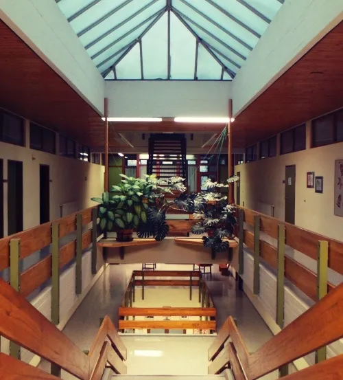 Ein Blick auf einen Innenbereich mit Holzgeländern, Pflanzen und einem Glasdach. Es beinhaltet eine Treppe und eine Bank.