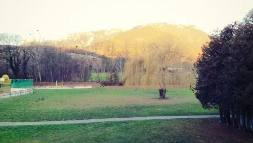 Ein Blick auf ein grünes Feld mit einem Berg im Hintergrund, Bäumen und einem Weidenbaum im Vordergrund.