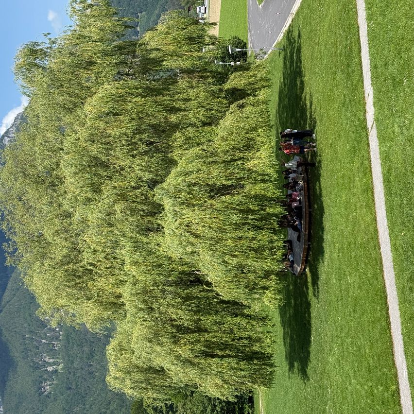 Ein Blick von oben auf eine Rasenfläche mit mehreren Personen, die sich unter einem großen Baum versammelt haben. In der Nähe befinden sich Berge und eine Straße, auf der ein Auto zu sehen ist.