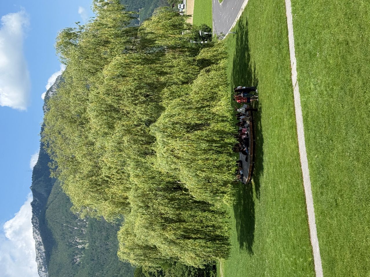 Ein Blick von oben auf eine Rasenfläche mit mehreren Personen, die sich unter einem großen Baum versammelt haben. In der Nähe befinden sich Berge und eine Straße, auf der ein Auto zu sehen ist.