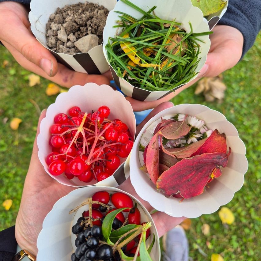 Fünf kleine Schalen, jede mit verschiedenen Gegenständen gefüllt: Erde, Gras, rote Beeren, schwarze Beeren und rote Blätter. Hände halten die Schalen und zeigen sie der Kamera.