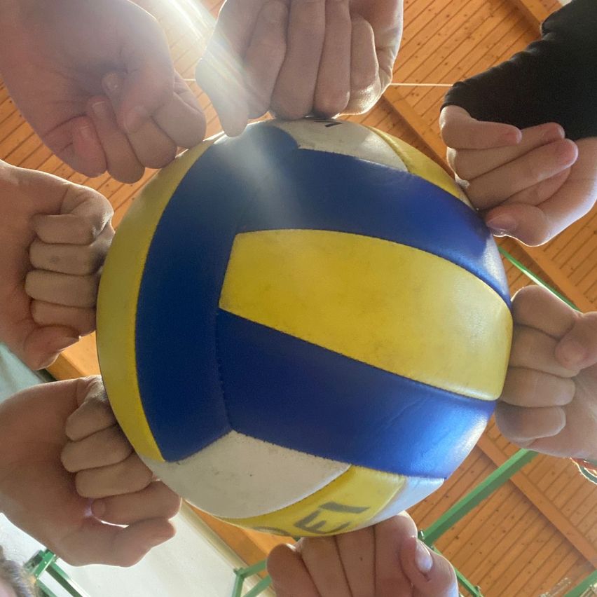 Mehrere Hände von verschiedenen Personen halten einen Volleyball. Der Ball ist gelb und blau mit einem weißen Akzent. Der Hintergrund ist verschwommen und scheint eine Holzwand zu sein.