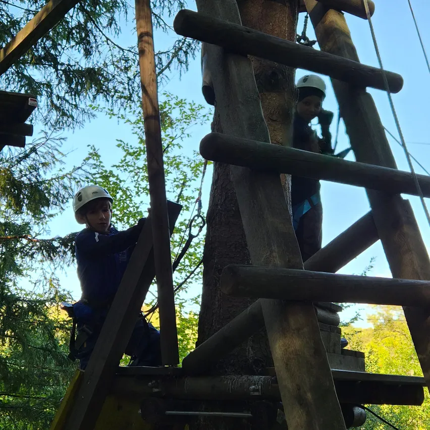Zwei Personen klettern eine Holzleiter, die an einem Baumstamm in einem Wald befestigt ist.