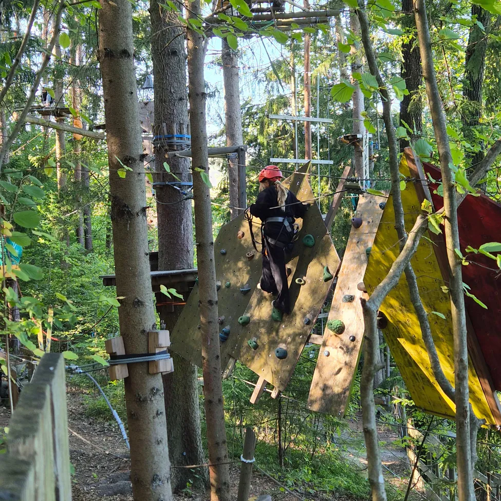 Eine Person klettert an einer Felswand im Wald.