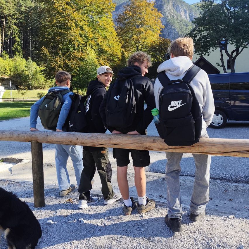 Fünf junge Männer stehen auf einem Holzzaun und schauen sich etwas an. Sie tragen alle Rucksäcke, und einer von ihnen hat eine Wasserflasche. Sie befinden sich in einem Park mit Bäumen und Bergen im Hintergrund.