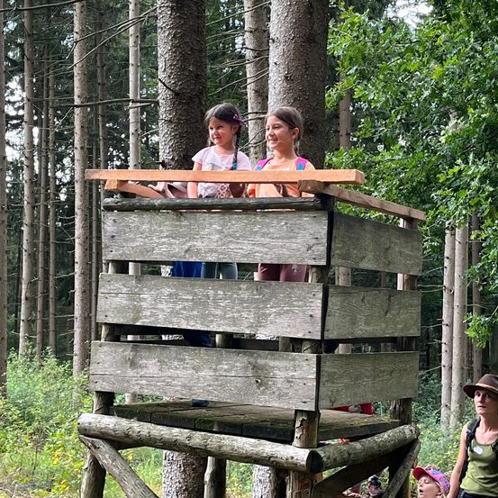Bild enthält, Grove, Land, Tree, Vegetation, Woodland, Portrait, Wood, People, Rainforest, Jungle
