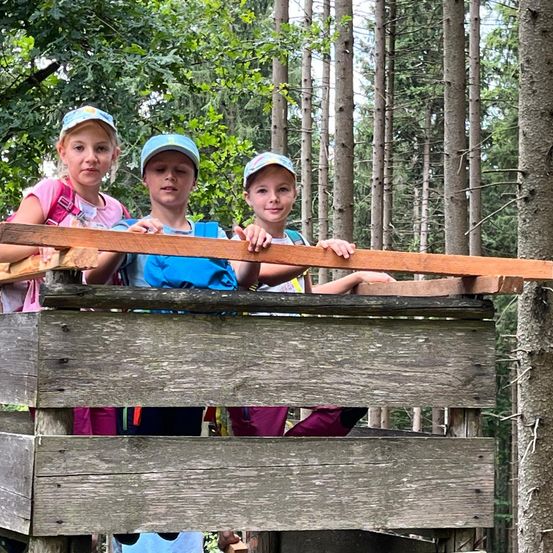 Bild enthält, Vegetation, Park, Land, Tree, Woodland, Wood, Grove, Portrait, People, Rainforest
