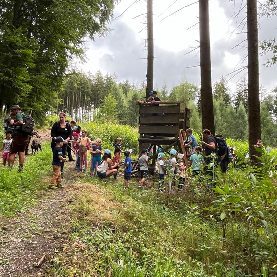 Bild enthält, Vegetation, People, Person, Bag, Outdoors, Nature, Dog, Backpack, Backpacking, Woodland