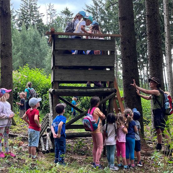 Bild enthält, Vegetation, Tree, Nature, Outdoors, Woodland, Person, People, Shorts, Shoe, Grove