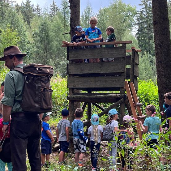 Bild enthält, Vegetation, Bag, Tree, Person, Woodland, Adult, Male, Man, Boy, Teen