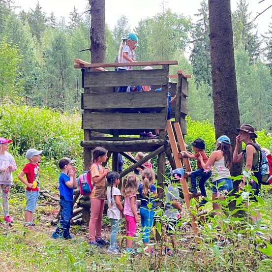 Bild enthält, Vegetation, Person, People, Adult, Female, Woman, Outdoors, Tree, Nature, Woodland