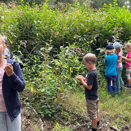 Bild enthält, Vegetation, Herbal, Person, Portrait, Boy, Child, Male, Garden, Blueberry, Woodland