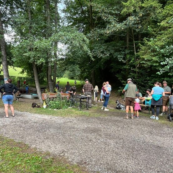 Bild enthält, Grass, Outdoors, Park, Vegetation, Grove, Land, Tree, Woodland, Person, Walking