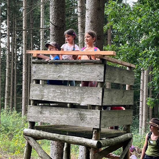 Bild enthält, Grove, Land, Tree, Vegetation, Woodland, Rainforest, Jungle, Wood, Portrait, Park