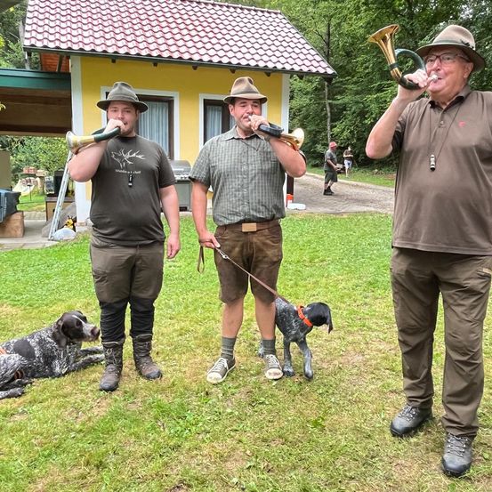 Bild enthält, Grass, Outdoors, Shelter, Adult, Male, Man, Person, Canine, Pet, Dog