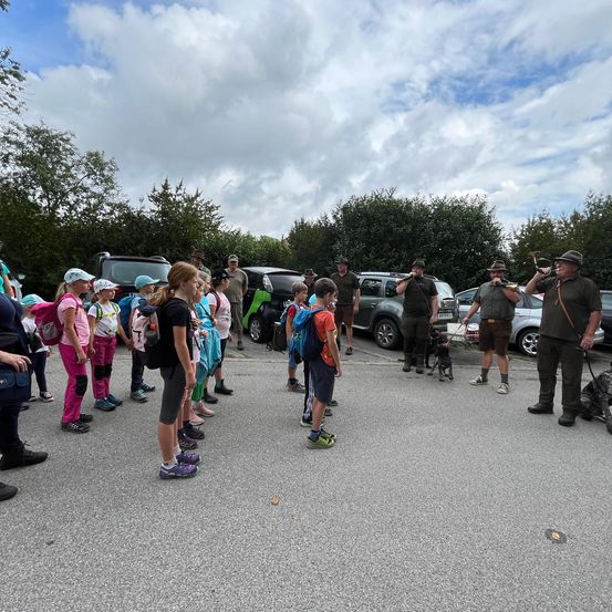 Bild enthält, People, Person, Car, Vehicle, Dog, Pet, Walking, Shoe, Wheel, Flash Mob