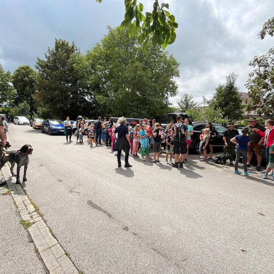 Bild enthält, People, Person, Adult, Male, Man, Canine, Dog, Pet, Walking, Car