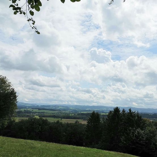 Bild enthält, Nature, Outdoors, Sky, Horizon, Vegetation, Tree, Woodland, Grass, Cloud, Scenery