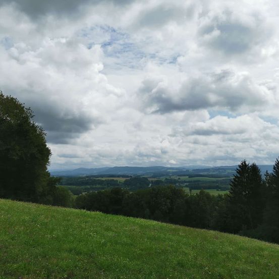 Bild enthält, Nature, Outdoors, Sky, Cloud, Grass, Vegetation, Horizon, Tree, Cumulus, Scenery