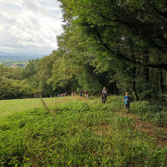 Bild enthält, Walking, Grass, Vegetation, Grove, Tree, Woodland, Hiking, Park, Path, Wilderness