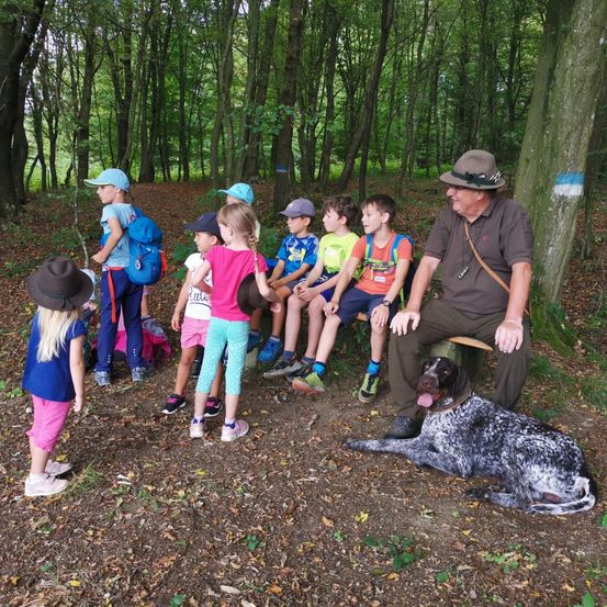 Bild enthält, Grove, Land, Tree, Vegetation, Woodland, Grass, Park, Walking, Hiking, Portrait