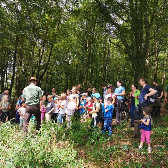 Bild enthält, Grove, Land, Tree, Vegetation, Woodland, Grass, Park, Jungle, Hiking, Walking