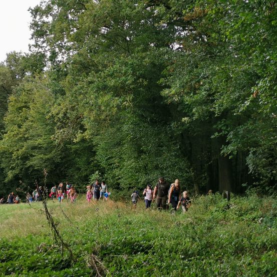 Bild enthält, Vegetation, Grove, Land, Nature, Tree, Woodland, Grass, Park, Walking, Hiking