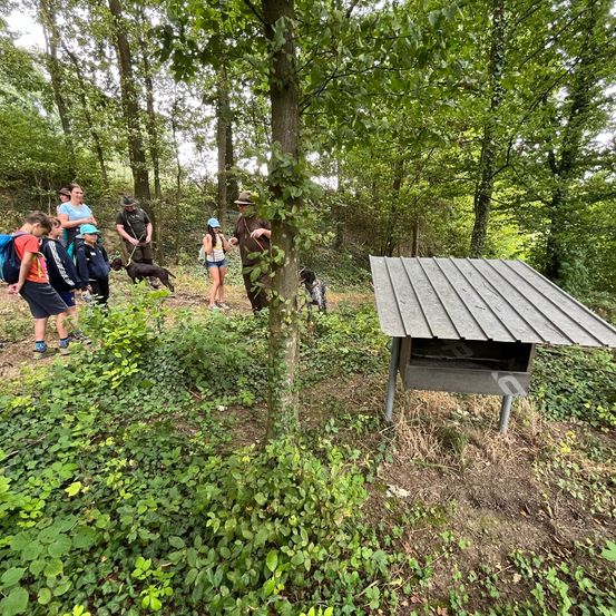 Bild enthält, Bag, Backpack, Backpacking, Person, Animal, Canine, Dog, Mammal, Pet