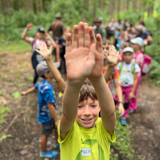 Bild enthält, Vegetation, Boy, Child, Male, Person, Head, Face, Finger, Outdoors, Portrait